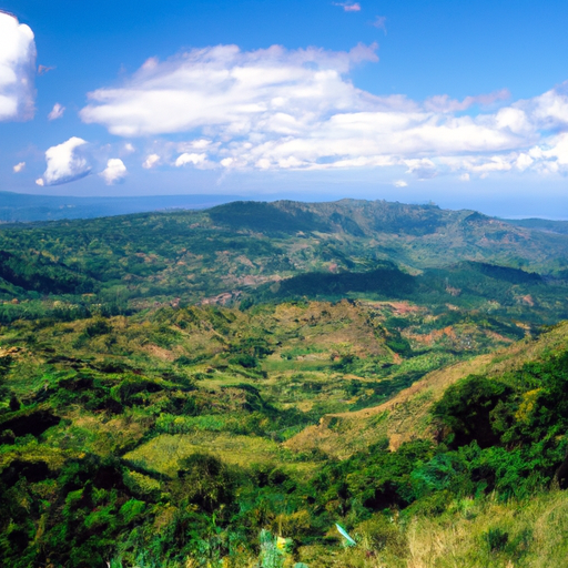 Que Faire À Madagascar